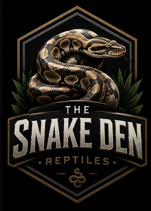 The Snake Den Reptiles